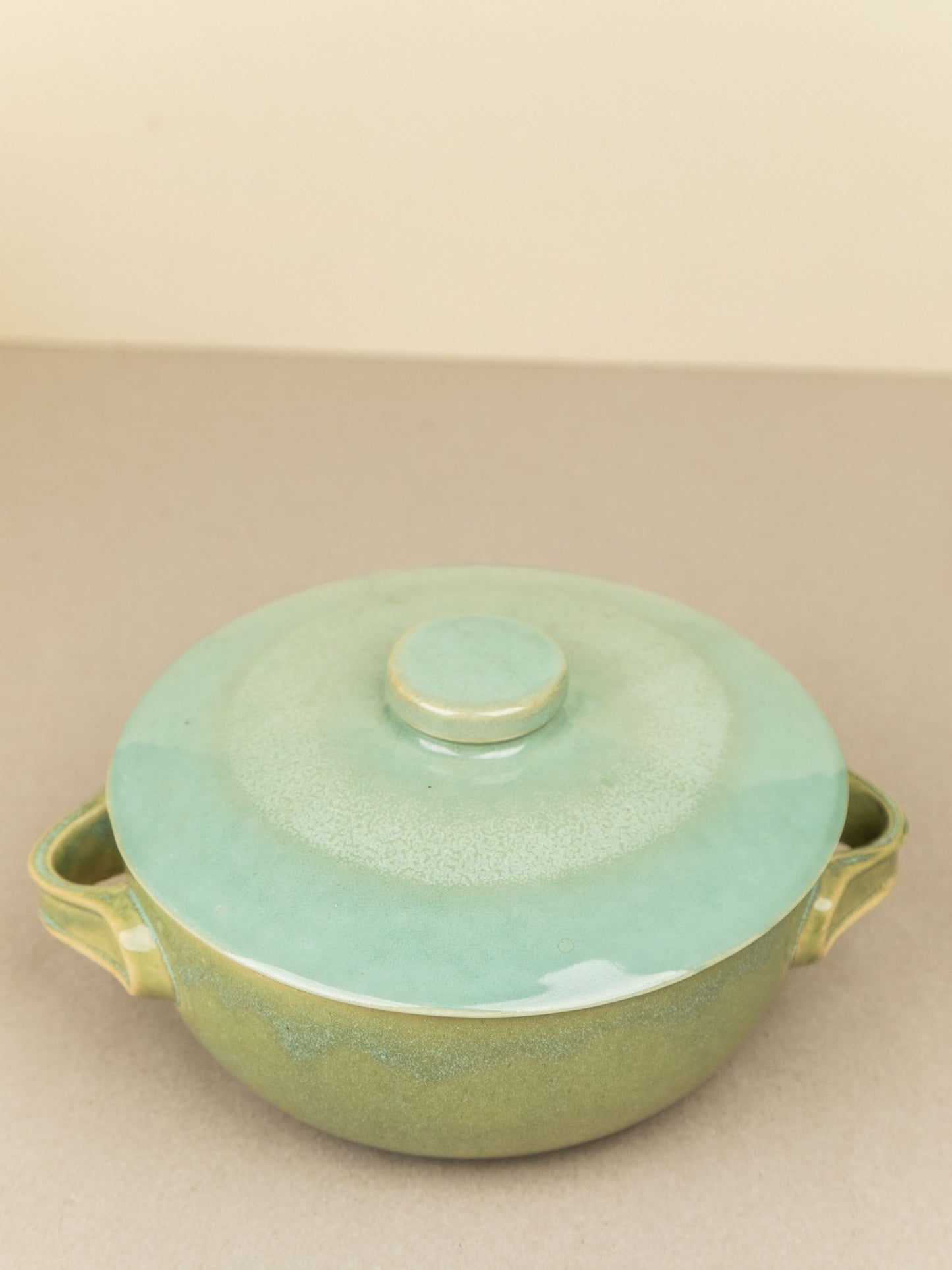 Gooseberry All purpose Bowl with lid and handle.