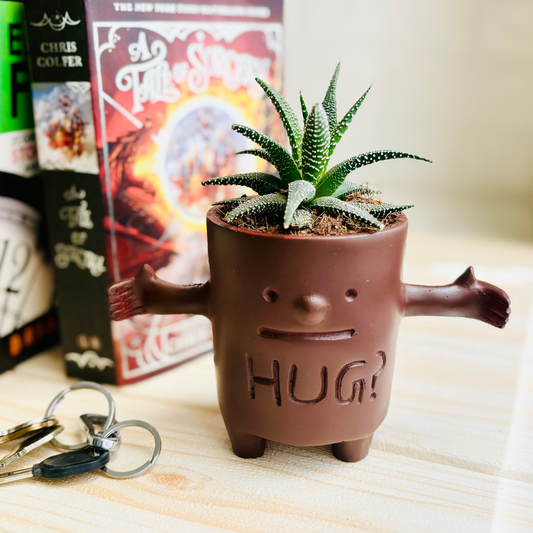 Hug Me Planter - Hot Selling